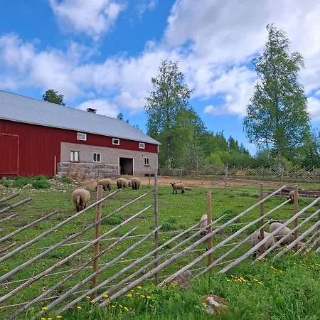 Koillismaeen Tila Appartement Kangasniemi